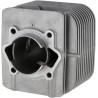 Cylindre AS-MOTOR E10909ASM