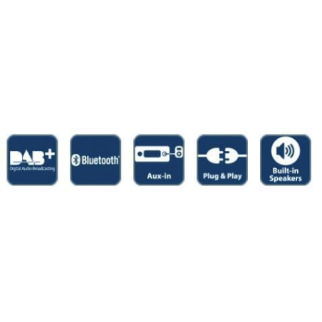 Radio digitale BLAUPUNKT 2010017100001