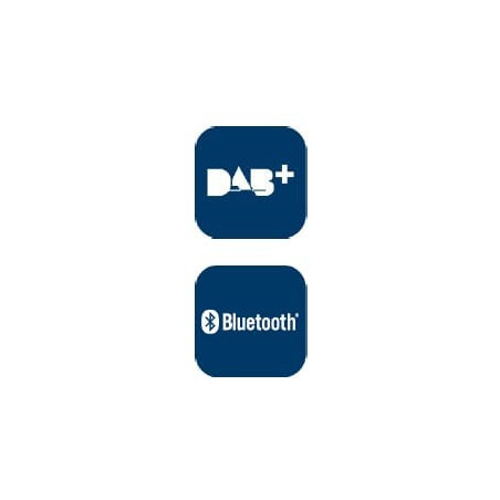 Radio digitale BLAUPUNKT 2010017100001