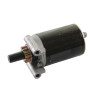 Démarreur KOHLER 1209821S
