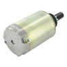 Démarreur KOHLER 4509809S