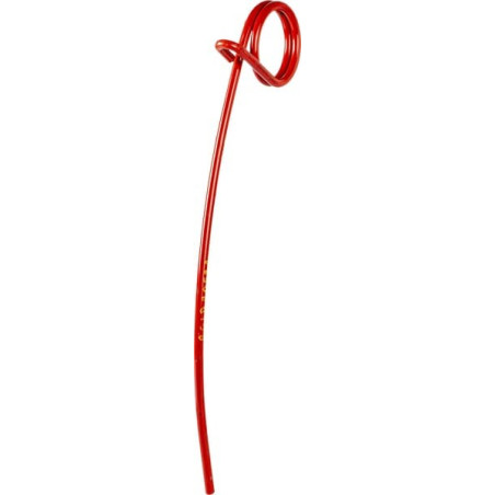 Dent RELIGIEUX FRERES BGLD20521