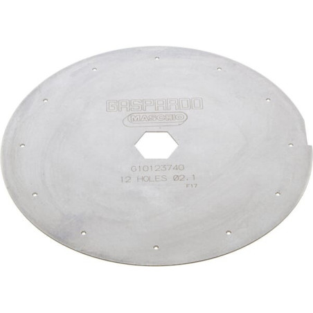 Disque GASPARDO G22230306R
