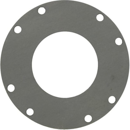 Disque BONDIOLI/6PAVESI 248230002R02