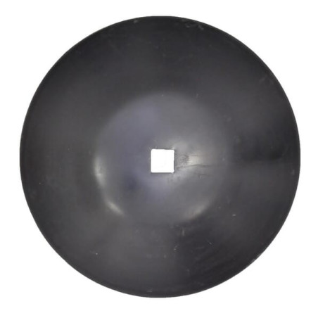 Disque FORGES DE NIAUX HDF409975