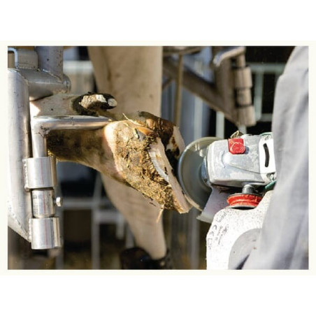 Disque FARMA 402080FA