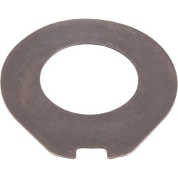 Disque GOLDONI 00018017