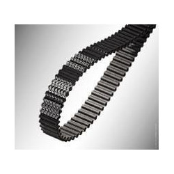 Courroie OPTIBELT 300DS8M2000