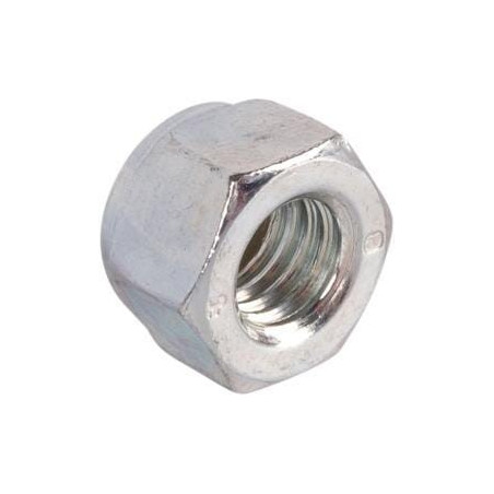Ecrou GOLDONI 06160047