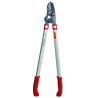 Elagueur OUTILS-WOLF OR750