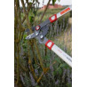 Elagueur OUTILS-WOLF OR750