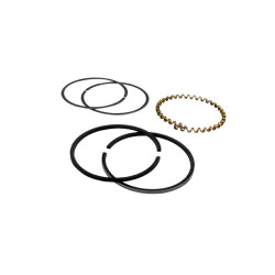 Segments KOHLER 232576 modèles K-181 - 8 ch 