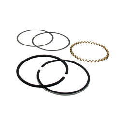 Segments KOHLER 235288 modèles K-241 - 10 ch 
