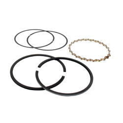 Segments KOHLER 236764 - 48-108-06 modèles K-321 - 14 ch 