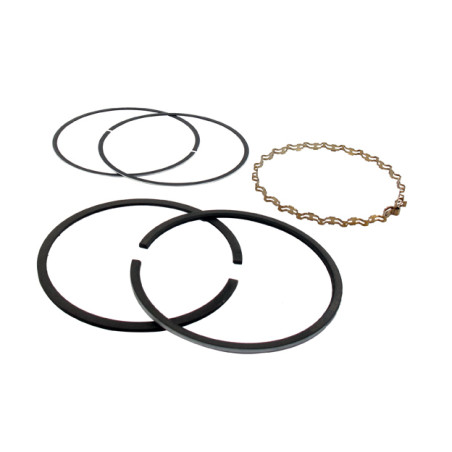 Segments KOHLER 236764 - 48-108-06 modèles K-321 - 14 ch 