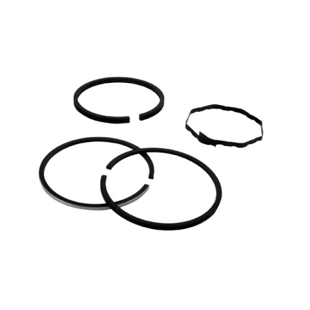 Segments KOHLER 232577 modèles K-181 - 8 ch 