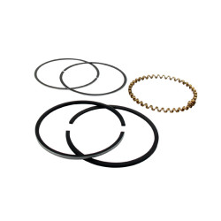Segments KOHLER 235289 modèles K-241 - 10 ch 