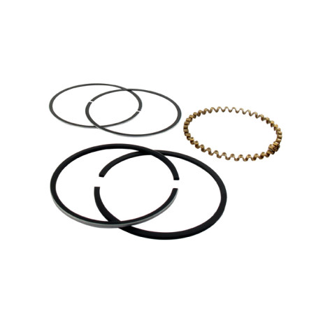 Segments KOHLER 235289 modèles K-241 - 10 ch 