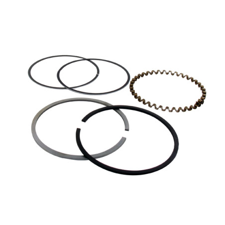 Segments KOHLER 235891 - 48-108-03 modèles K-301 - 12 ch 