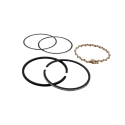 Segments KOHLER 232578 modèles K-181 - 8 ch 