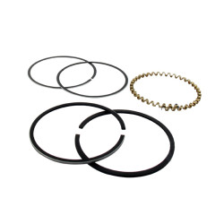 Segments KOHLER 235290 modèles K-241 - 10 ch 