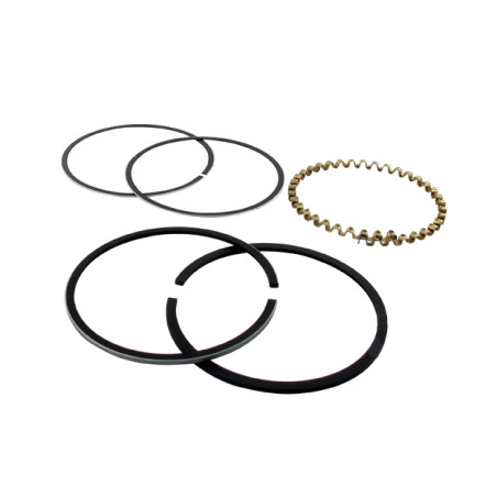 Segments KOHLER 235290 modèles K-241 - 10 ch 