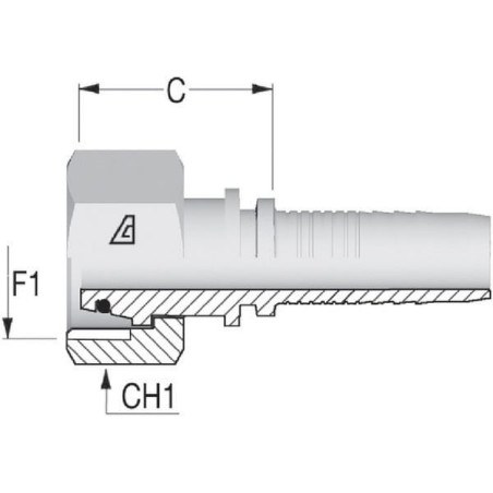 Embout ALFAGOMMA PGLO2545
