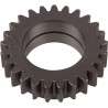 Engrenage CNH 5125006