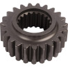 Engrenage CNH 5119548
