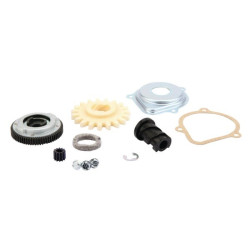 Entraîneur BRIGGS ET STRATTON 795093