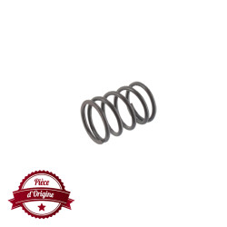 RESSORT DE SOUPAPE BRIGGS ET STRATTON 691304