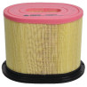 Filtre MASSEY FERGUSON 4375638M1