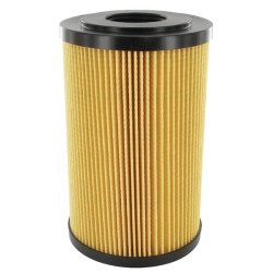 Filtre MP-FILTRI F33P25A