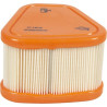 Filtre BRIGGS ET STRATTON 595853