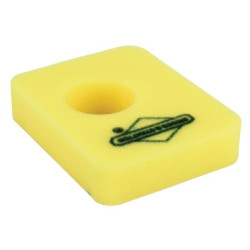 Filtre BRIGGS ET STRATTON 799579