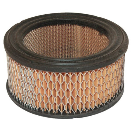 Filtre BRIGGS ET STRATTON 392286