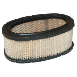 Filtre BRIGGS ET STRATTON 393406