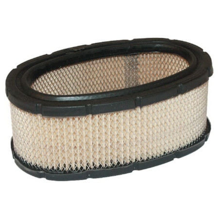 Filtre BRIGGS ET STRATTON 393406
