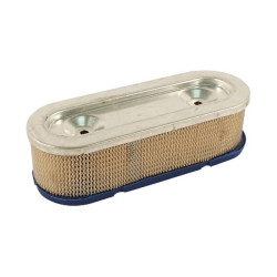 Filtre BRIGGS ET STRATTON 399968