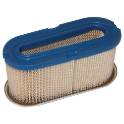Filtre BRIGGS ET STRATTON 491021