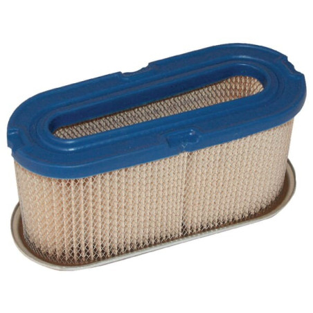 Filtre BRIGGS ET STRATTON 491021
