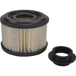 Filtre BRIGGS ET STRATTON 496047