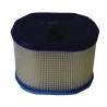 Filtre BRIGGS ET STRATTON 695302