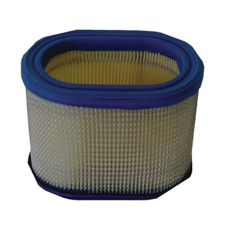 Filtre BRIGGS ET STRATTON 695302