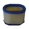 Filtre BRIGGS ET STRATTON 695302