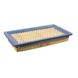 Filtre BRIGGS ET STRATTON 710265