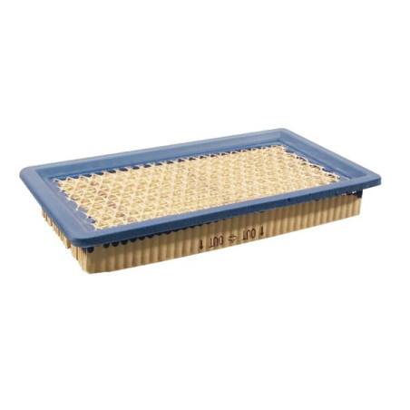 Filtre BRIGGS ET STRATTON 710265
