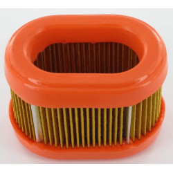 Filtre BRIGGS ET STRATTON 790166