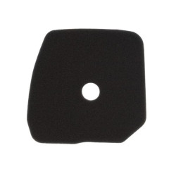 Filtre KAWASAKI 110132242