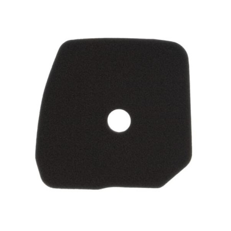 Filtre KAWASAKI 110132242